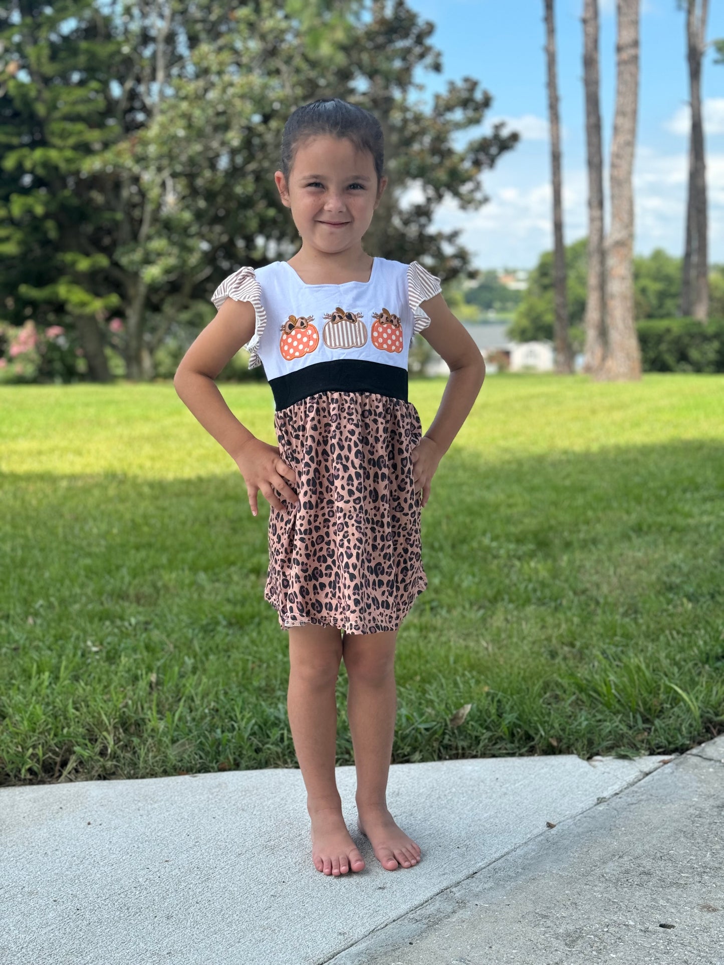 Fall Pumpkin Embroidered dress
