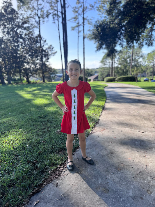 Christmas holiday red embroidered dress