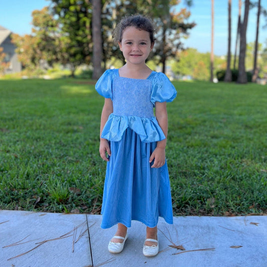 Cinderella inspired princess dress