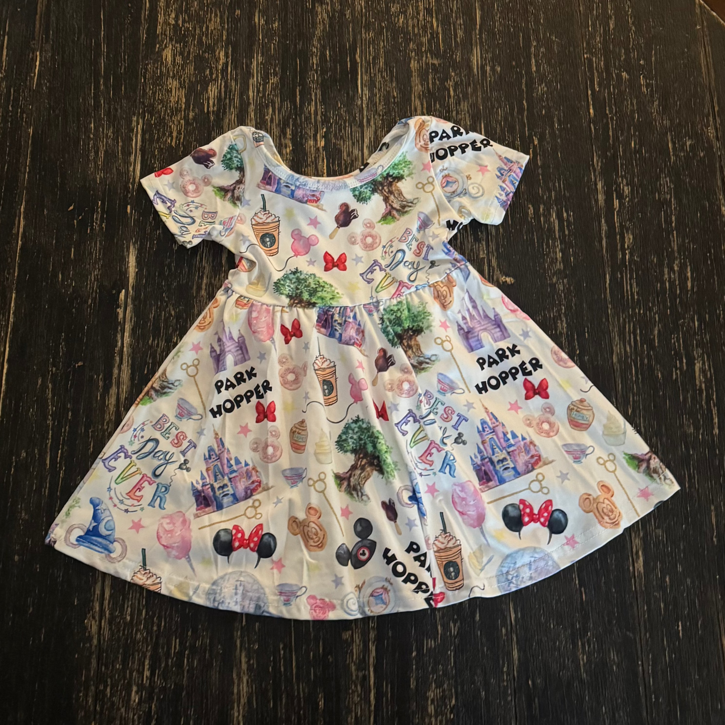 Park Hopper Mouse Theme Park Dress